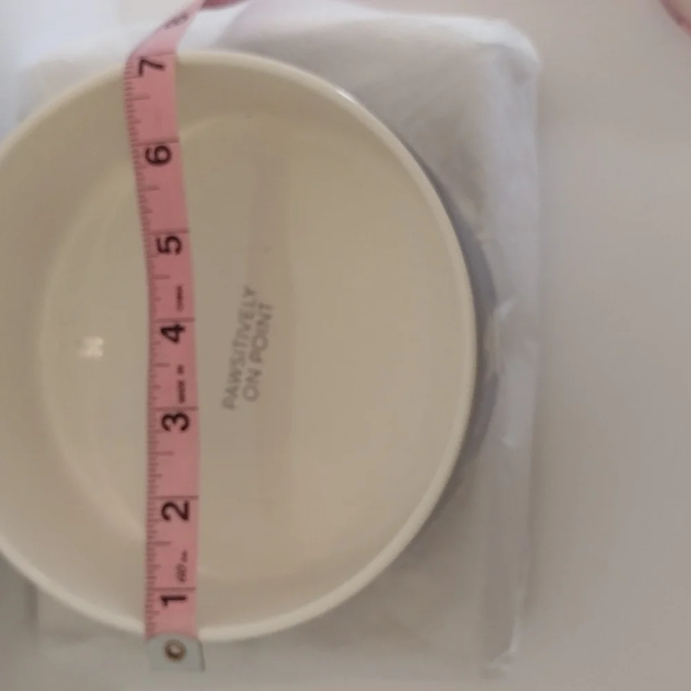 Dog bowl by Fringe blue with cactus